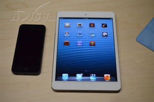 Apple iPad mini MD529CH/A 深入透析轻度快捷休闲配置的双份视觉选择**